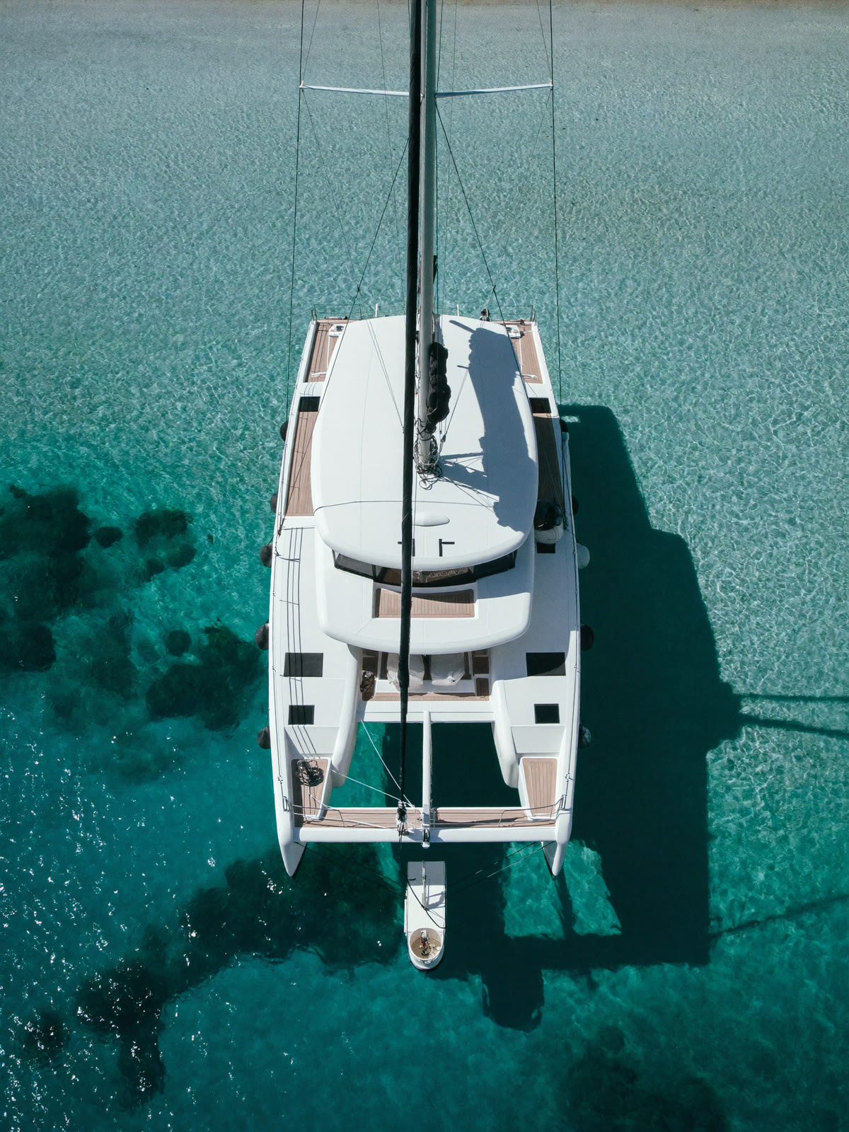 Catamarani